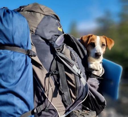 Что не стоит брать в поход или на треккинг