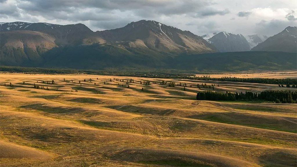 Курайская-степь.jpg Курайская-степь.jpg